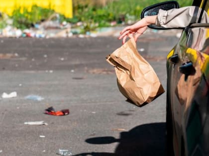 Как бизнес помогает решить проблему отходов