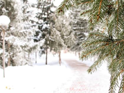 До -14 градусов ожидается на Крещение в Алтайском крае