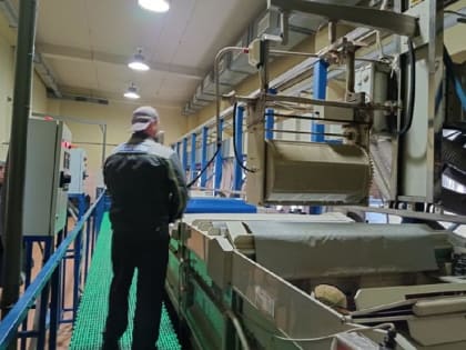 В Алтайском крае отмечен рост числа субъектов малого и среднего предпринимательства