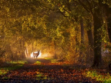 Такой день. Срок начала отопительного сезона в Барнауле и «разнос» работ по благоустройству на Алтае