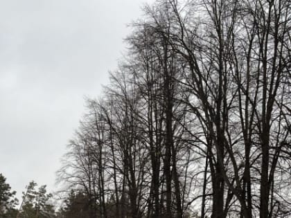 В Центральном районе продолжается работа по очистке дворовых территорий и межквартальных проездов