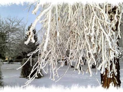 Временами снег: о погоде в Алтайском крае 31 декабря