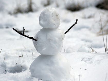 По югу Алтайского края ожидаются метели