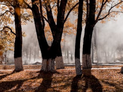 Такой день. Отправка мобилизованных в воинские части и пожар в церкви