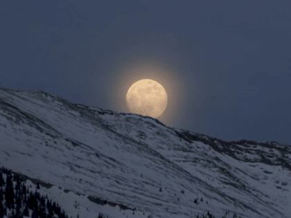 Такой день. Доширачные мошенники и новая версия случившегося перед дракой с инвалидом
