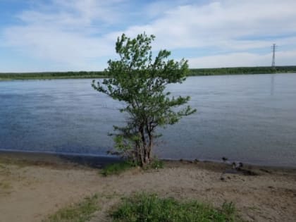 В Бийске выясняют обстоятельства загрязнения реки химикатами