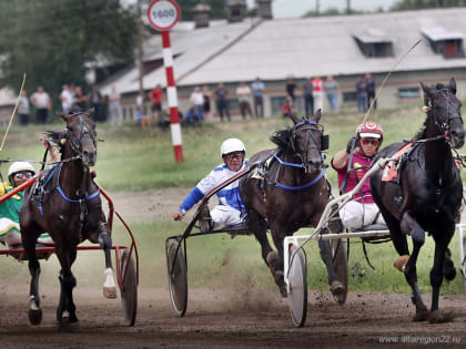 Губернатор вручил победителю конноспортивных соревнований приз в честь «Дня сибирского поля»