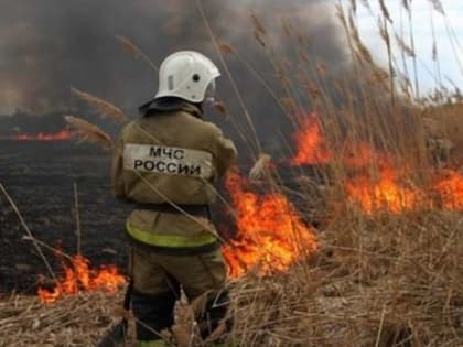 В Алтайском крае тушат один за другим травяные пожары