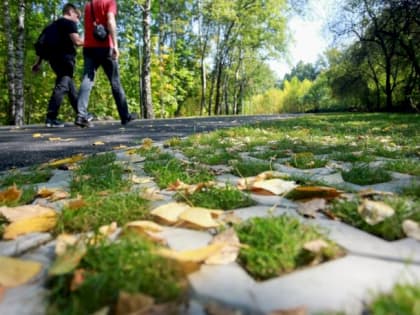 В Барнауле в 2023 году планируют восстановить сквер на улице Приречной за 15 миллионов рублей