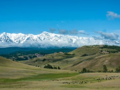 Такой день. Ремонт Чуйского тракта на 2,46 млрд рублей и едкий дым в центре Барнаула