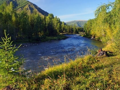 Алтайскому природному заповеднику исполнилось 90 лет