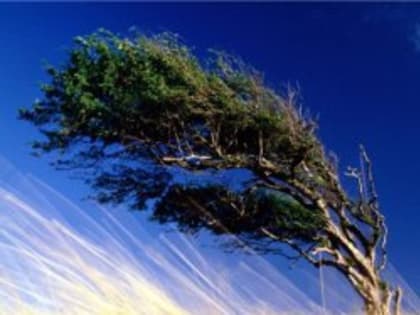 Приметы дня: 13 июня