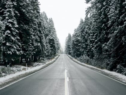 Умеренный снегопад. О погоде в Алтайском крае 8 ноября