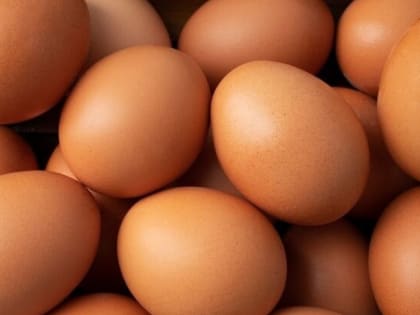 Алтайский край оказался среди лидеров по росту цен на яйца