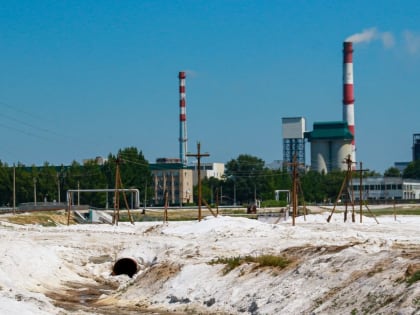 Алтайский "Кучуксульфат" не смогли продать с первой попытки