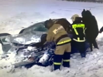 Шесть человек погибли в страшной автокатастрофе на трассе Барнаул-Рубцовск