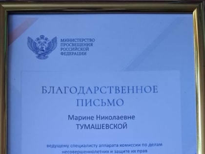 Профессия, полная призвания: работа в комиссии по делам несовершеннолетних