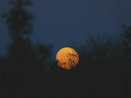 Такой день. Жуткий гул и реакция властей на жалобы мобилизованных