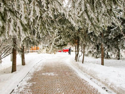 Алтайский край 11 января сковали очень сильные морозы