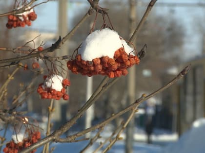 В Алтайском крае похолодает до -30 С