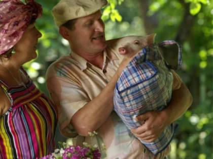 Фанаты сериала "Сваты" раскритиковали последний сезон и назвали его худшим