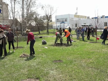 Глава Барнаула Вячеслав Франк присоединился к вышедшим на общегородской субботник