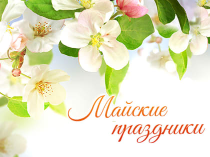 Россиянам напомнили о двух коротких рабочих неделях в мае