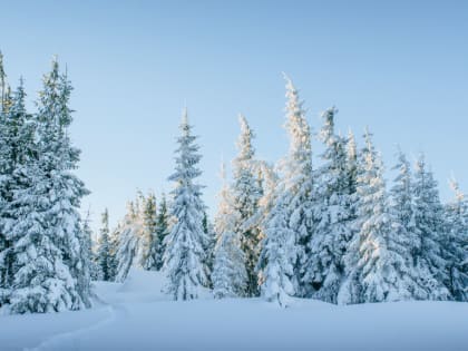 В Алтайском крае сохраняется ясная морозная погода