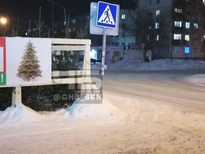 Елочный базар загородил пешеходный переход в Барнауле