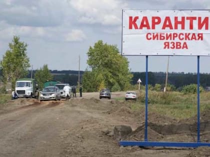 По сообщению Роспотребнадзора в Туве зарегистрирован пятый случай заболевания людей сибирской язвой