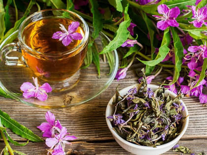 В России из-за рекордного спроса образовался дефицит иван-чая