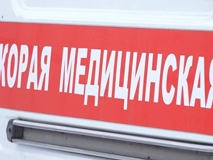 В Бийске медики спасли мужчину после укуса пчелы