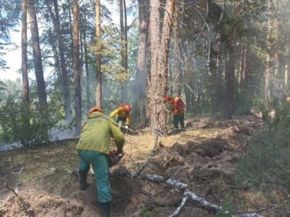 Губернатор Виктор Томенко изучил оперативные данные МЧС о ситуации с пожарами