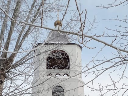 День памяти сщмч. Никиты, епископа Бийского