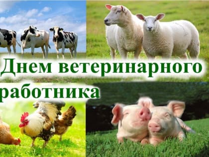 Глава города Людмила Подгора и председатель городского Собрания депутатов Сергей Кондратов поздравили жителей Славгорода с Днем ветеринарного работника