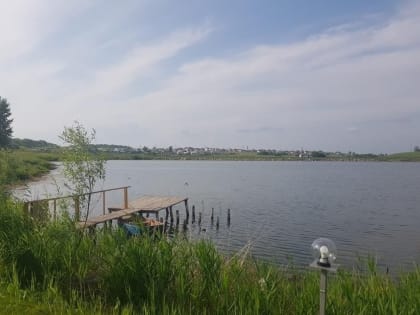 В Барнауле дети нашли разложившийся труп в кустах