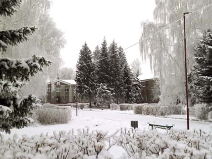 Небольшой снег: о погоде в Алтайском крае 7 января