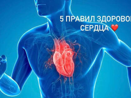 ❤️ Пять правил здорового сердца осенью