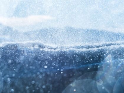 Метель и сильный ветер. О погоде в Алтайском крае 17 ноября