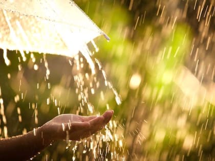 Небольшой дождь: о погоде в Алтайском крае 2 июля