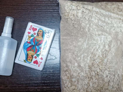 Карты, дрожжи и спиртное: в рубцовской ИК-10 обнаружили запрещенку в овсянке