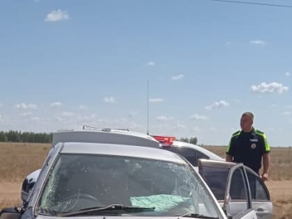 Дорожно-транспортное происшествие, в котором пострадали люди, произошло на территории Славгорода.