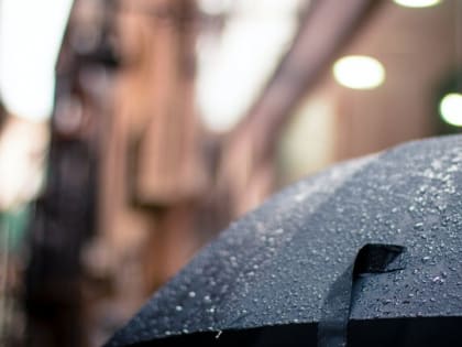 Алтайский край накроет шторм с дождем и порывистым ветром