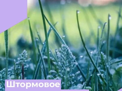 Штормовое предупреждение