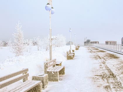 В Алтайском крае последние выходные января пройдут с потеплением до +1 градуса