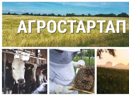 Минсельхозом Алтайского края объявлен конкурс по отбору бизнес-проектов на получение гранта «Агростартап»
