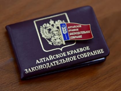 Вслед за федеральной планируется изменить региональную норму предоставления сведений о доходах депутатов