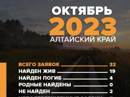 Волонтеры «ЛизаАлерт» опубликовали статистику по поискам пропавших в Алтайском крае