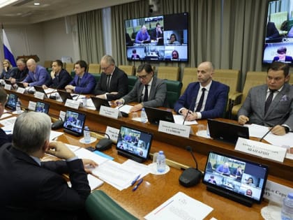 В Совете Федерации обсудили работу производителей, осуществляющих продажу и сервисное обслуживание автомобилей