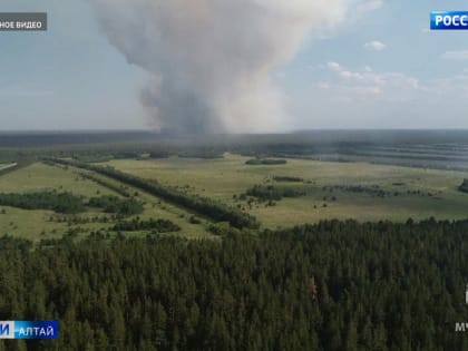В Егорьевском районе снова горит лес